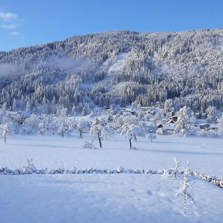 Apartment-Ferienwohnung 3 Treffen Am Ossiachersee Экстерьер фото