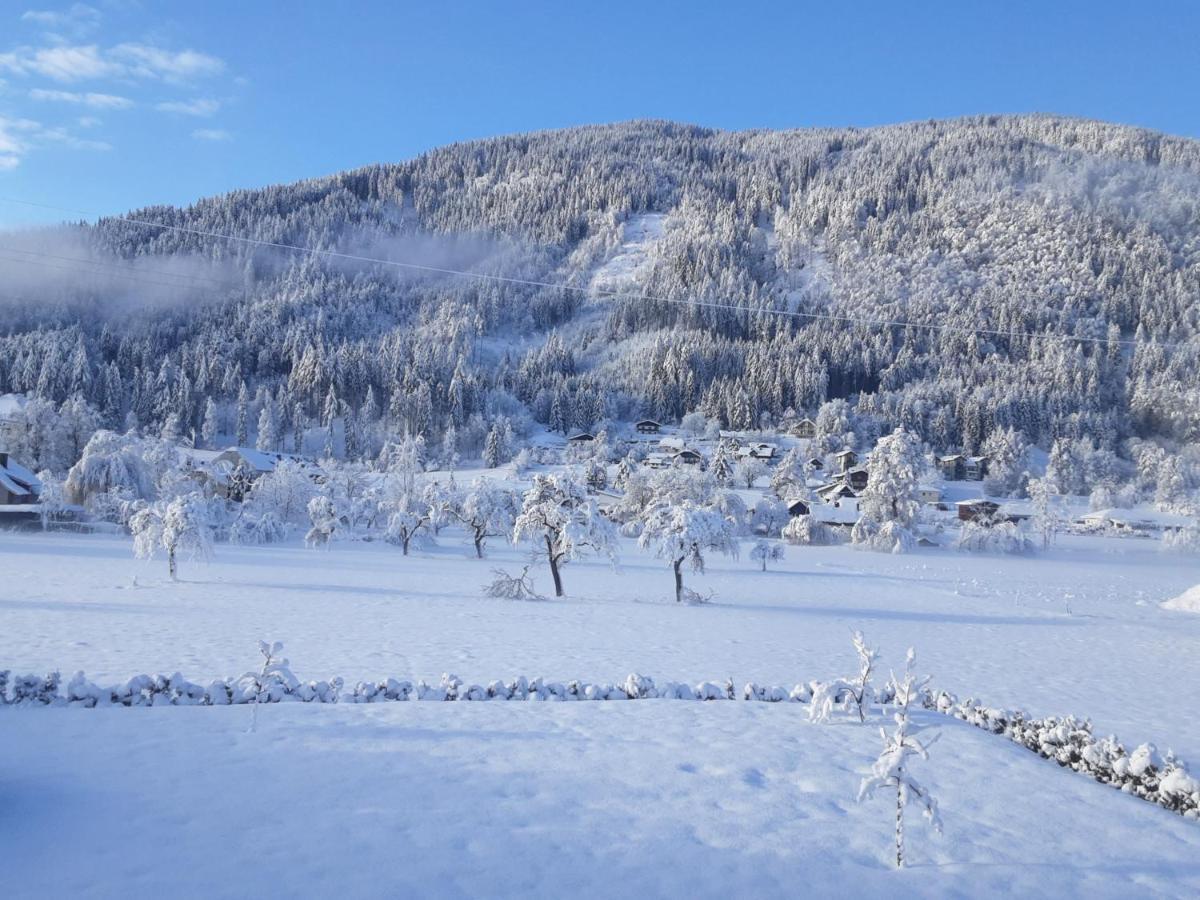 Apartment-Ferienwohnung 3 Treffen Am Ossiachersee Экстерьер фото